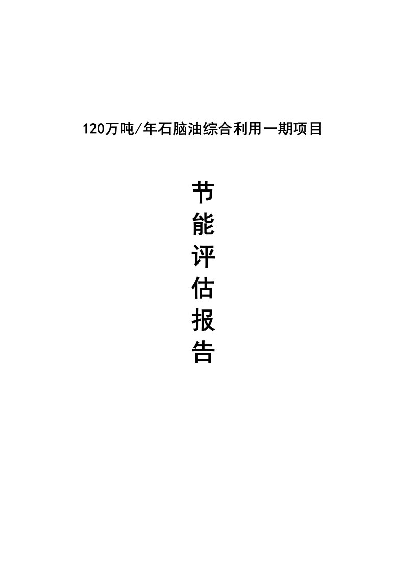 120万吨石脑油综合利用项目节能评估报告书