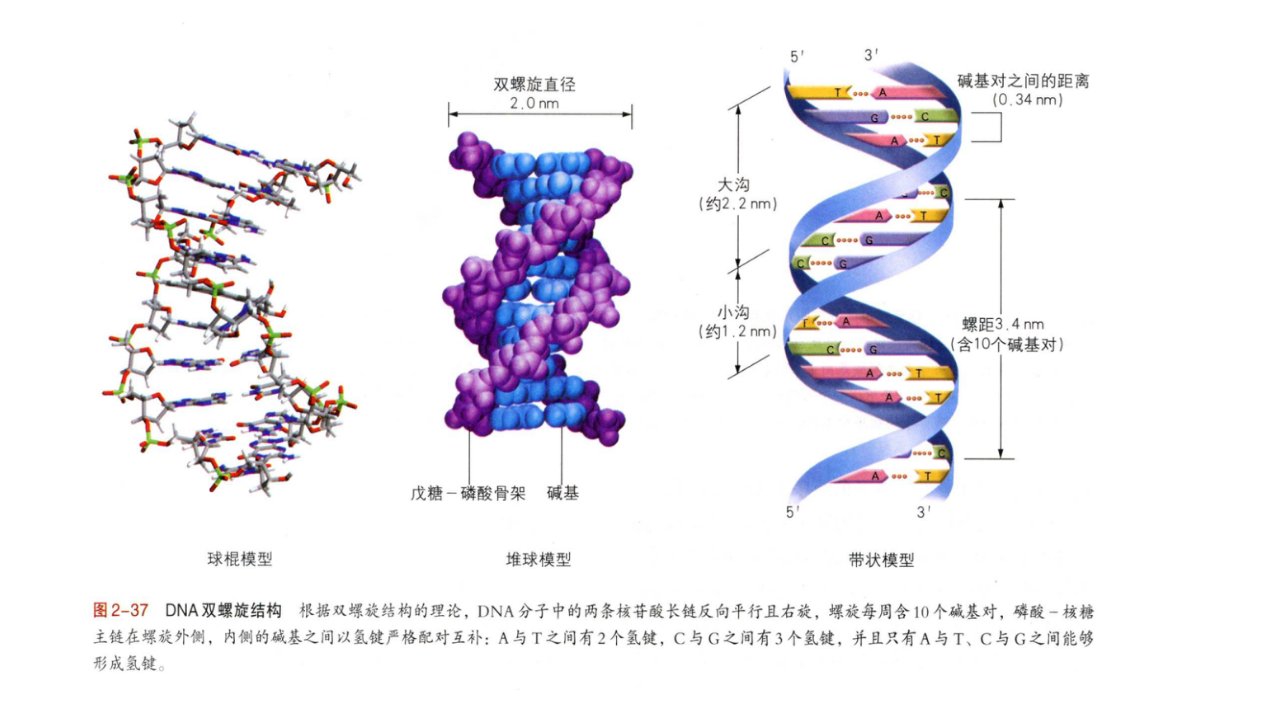 基因工程制药多图版