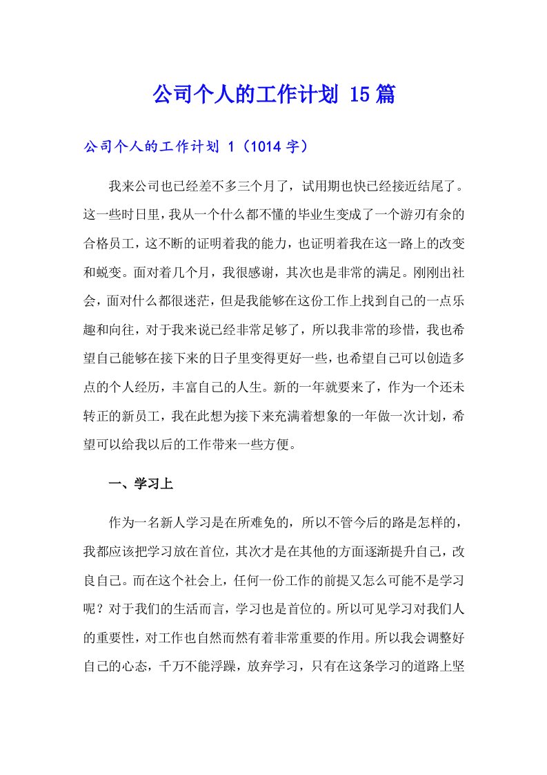 公司个人的工作计划