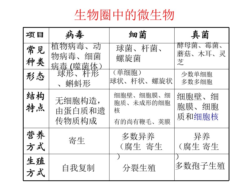 微生物复习课件