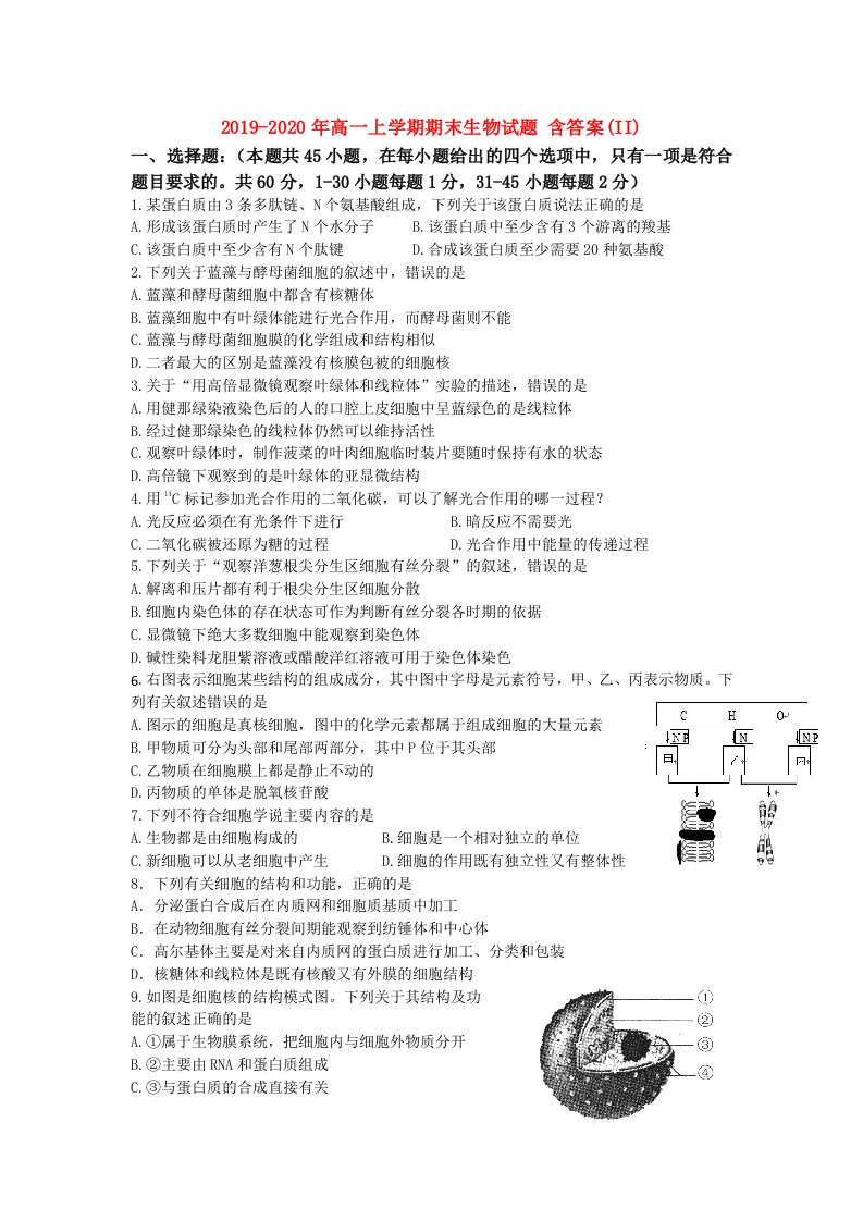 2019-2020年高一上学期期末生物试题