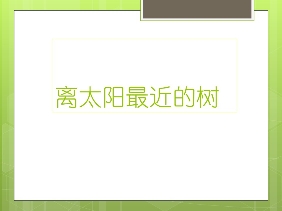 离太阳最近的树练习题