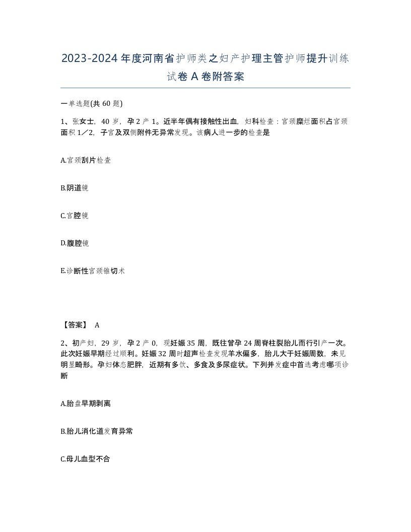 2023-2024年度河南省护师类之妇产护理主管护师提升训练试卷A卷附答案