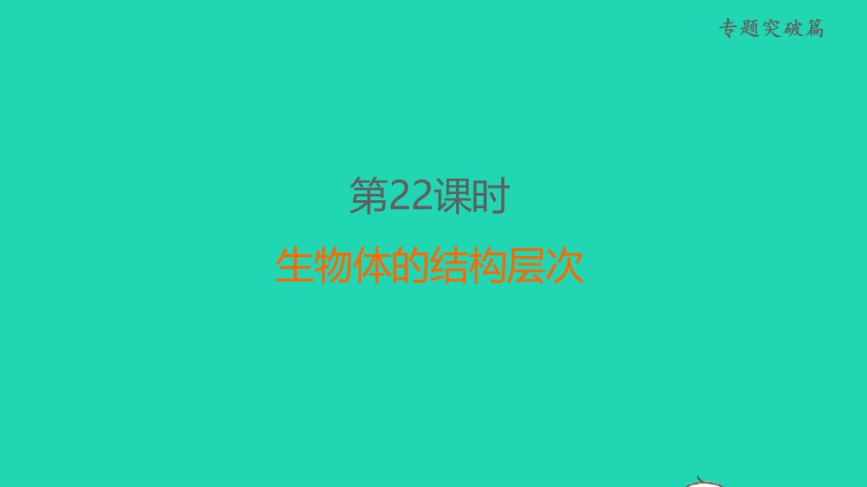 福建省2022年中考生物专题突破篇第22课时生物体的结构层次课堂讲本课件