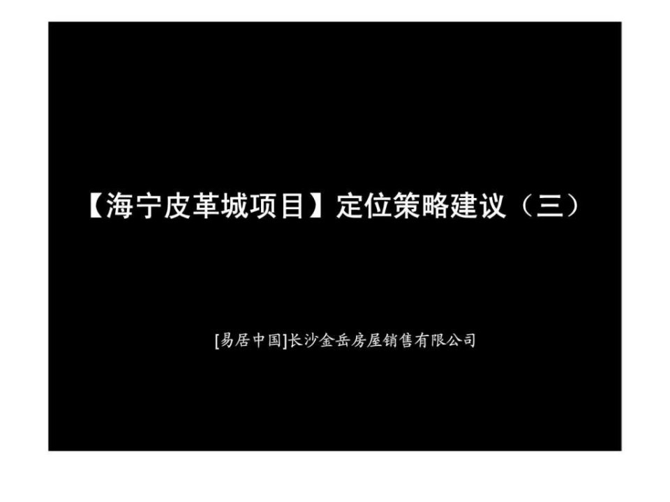 易居中国海宁皮革城项目定位策略建议三