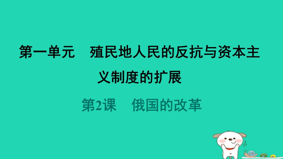 海南省20242024九年级历史下册第1单元殖民地人民的反抗与资本主义制度的扩展第2课俄国的改革课件新人教版