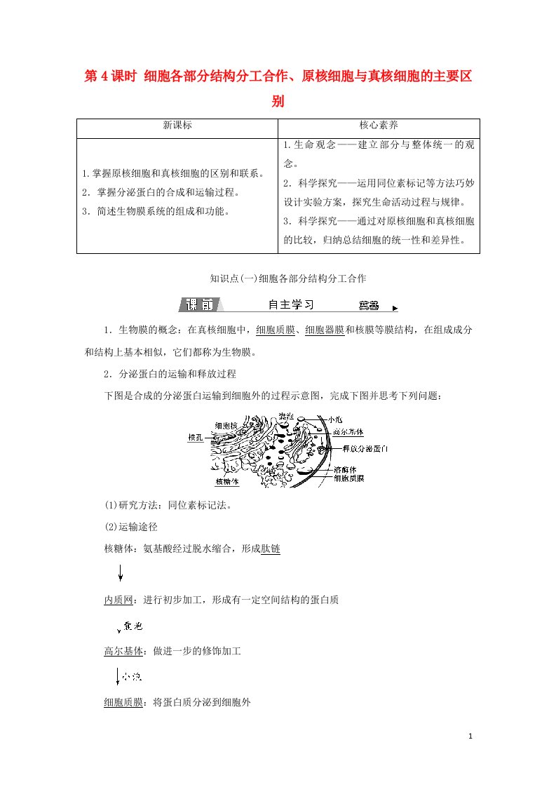 2021_2022新教材高中生物第二章细胞的结构和生命活动第二节第4课时细胞各部分结构分工合作原核细胞与真核细胞的主要区别学案苏教版必修1