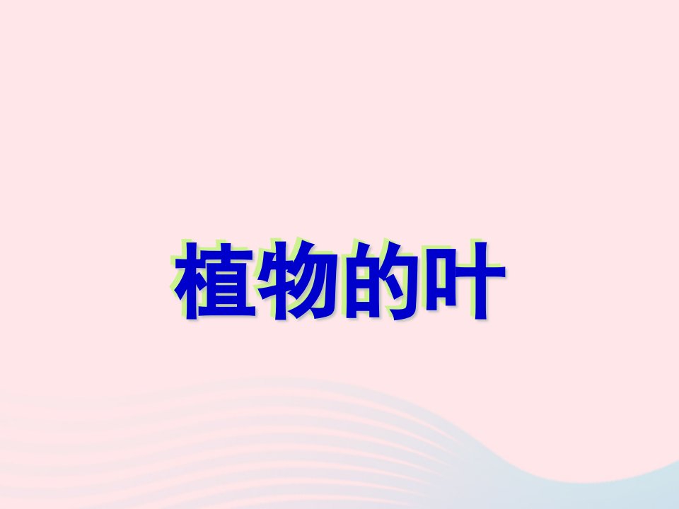 四年级科学上册第一单元植物的生活第3课植物的叶课件1青岛版五四制