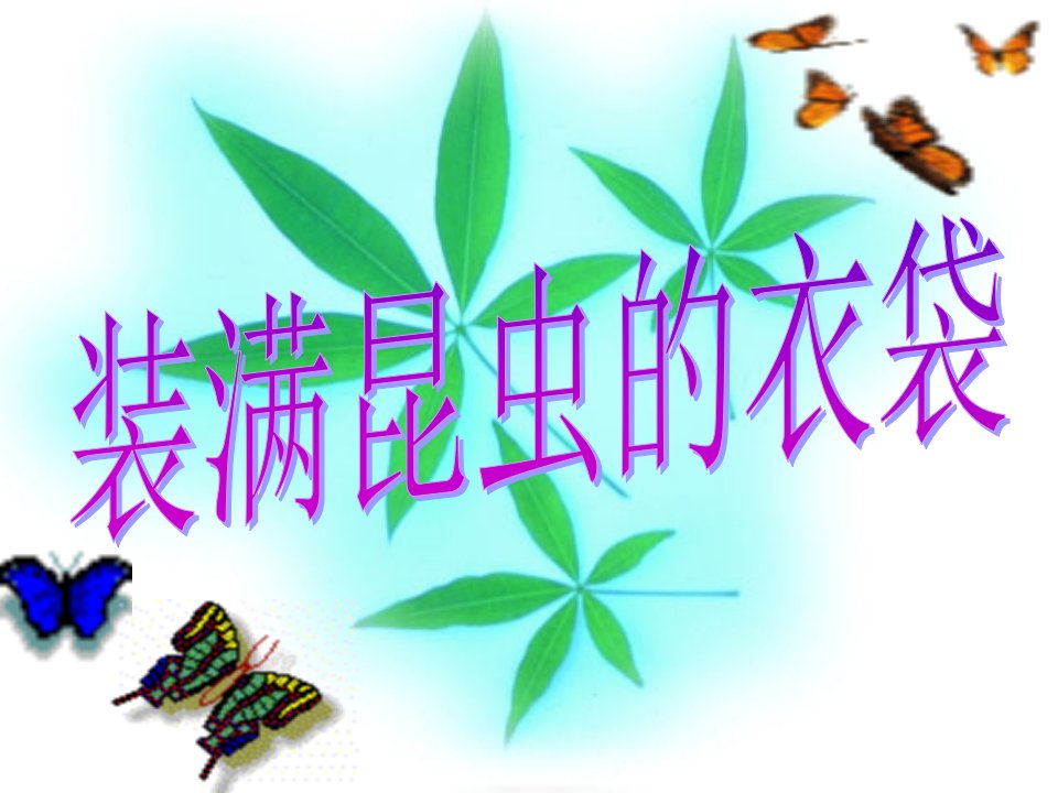 装满昆虫的衣袋导师课