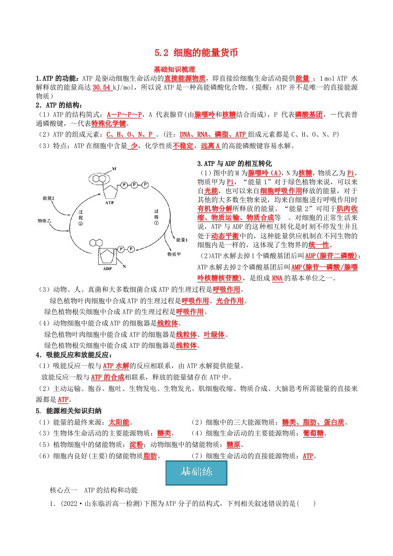 2024年同步备课高中生物5.2细胞的能量货币同步训练教师版新人教版必修1