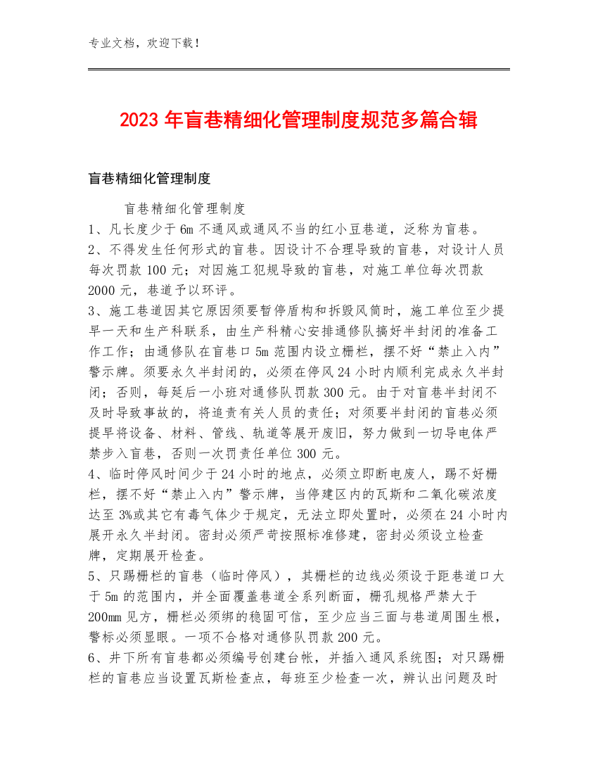 2023年盲巷精细化管理制度规范多篇合辑