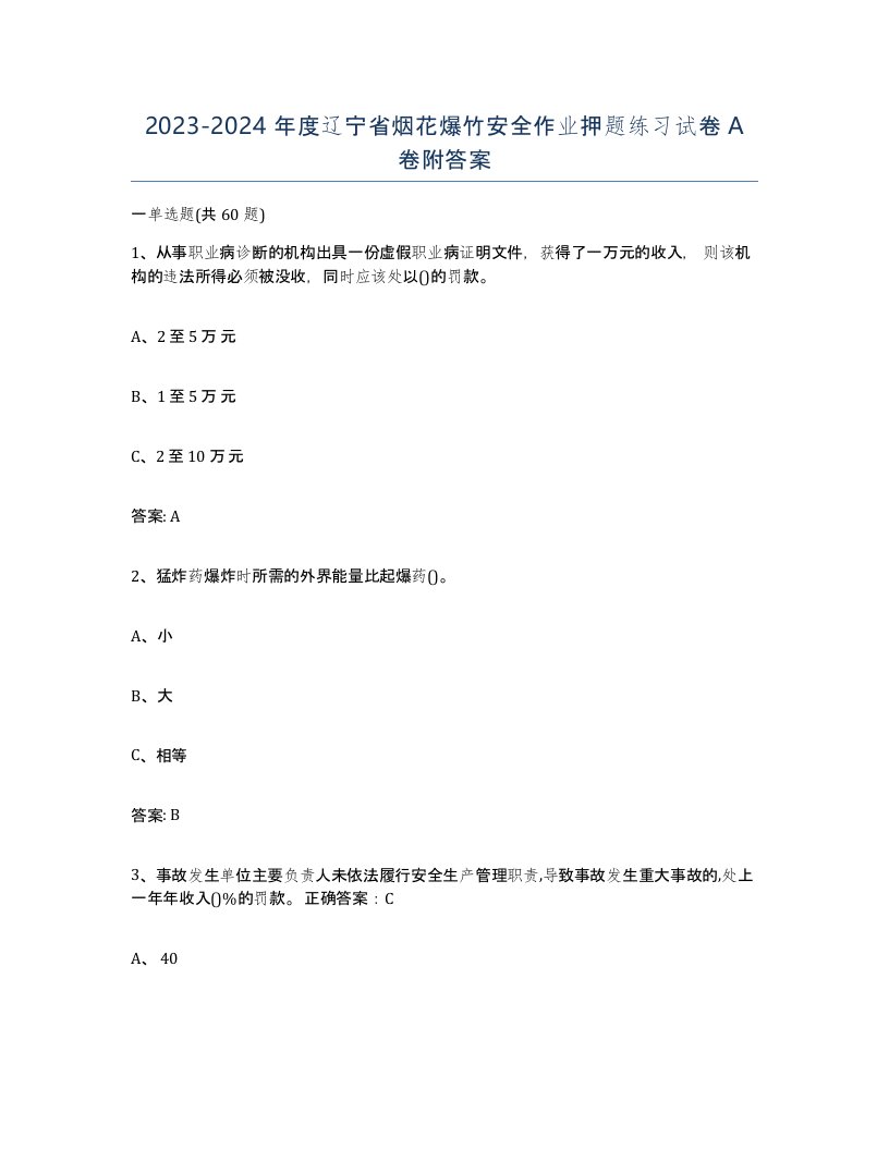 20232024年度辽宁省烟花爆竹安全作业押题练习试卷A卷附答案