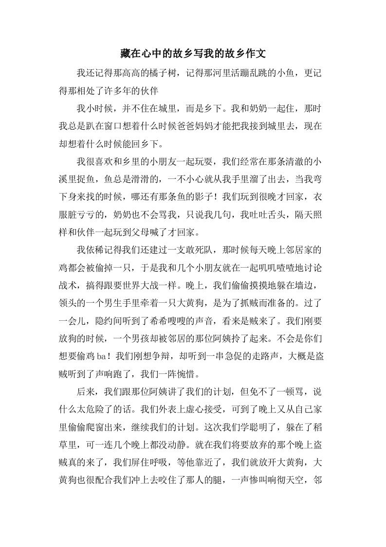 藏在心中的故乡写我的故乡作文