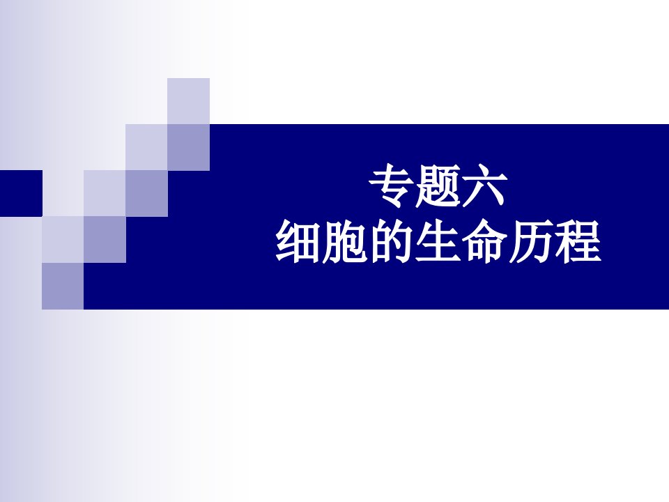 高考生物一轮复习：专题六细胞的生命历程必修1课件