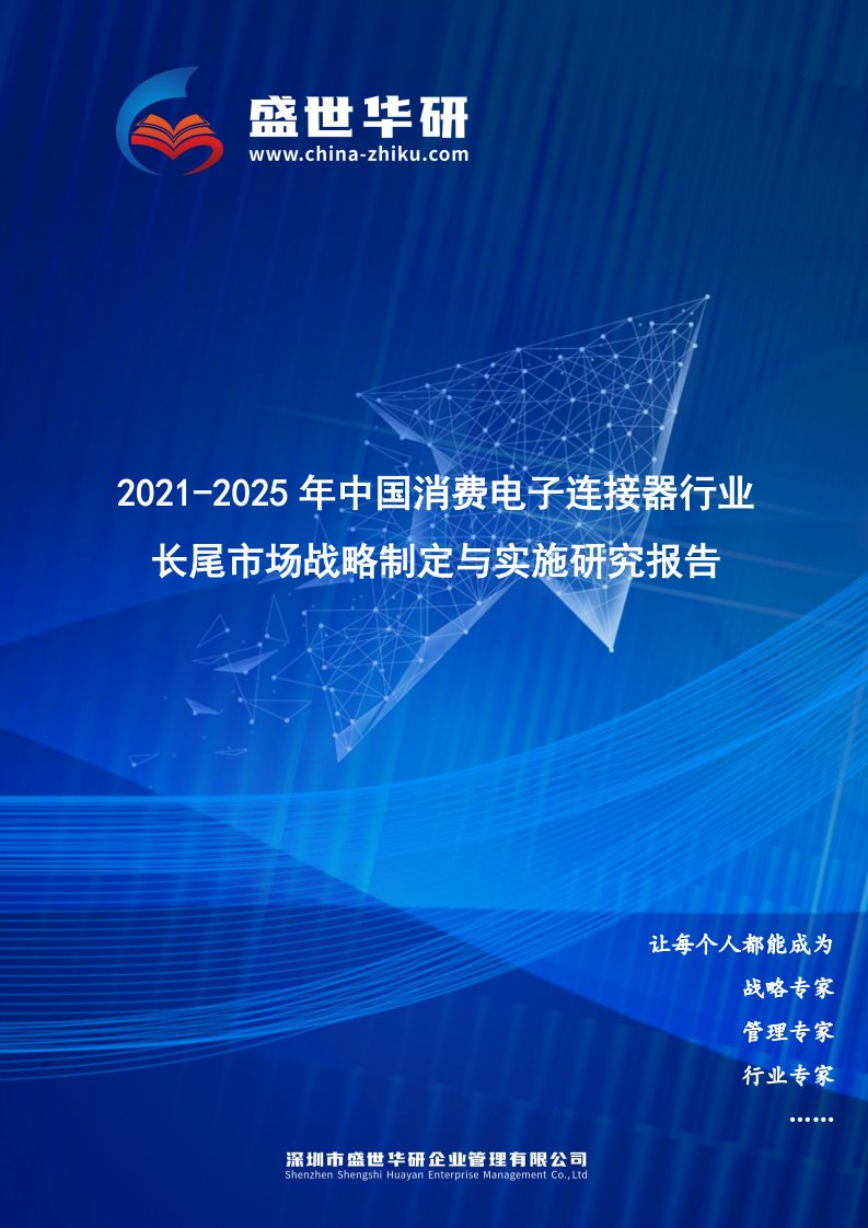 2021-2025年中国消费电子连接器行业长尾市场战略制定与实施研究报告