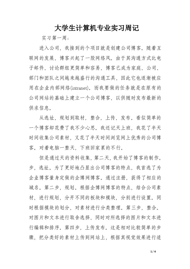 大学生计算机专业实习周记