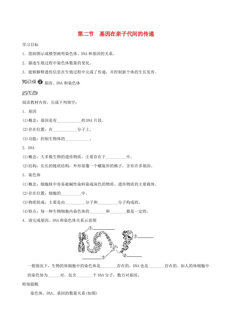 福建省2024八年级生物下册第七单元生物圈中生命的延续和发展第二章生物的遗传和变异第二节基因在亲子代间的传递导学案新版新人教版