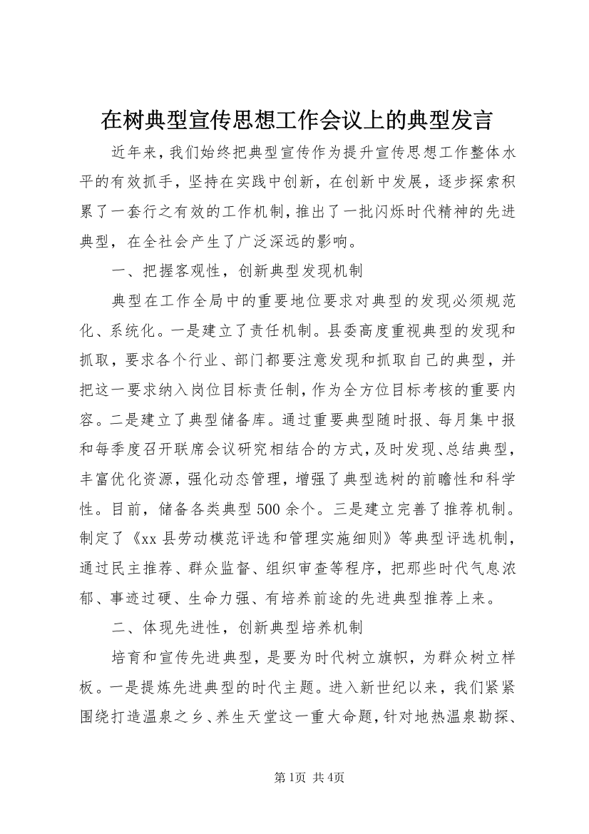 在树典型宣传思想工作会议上的典型发言