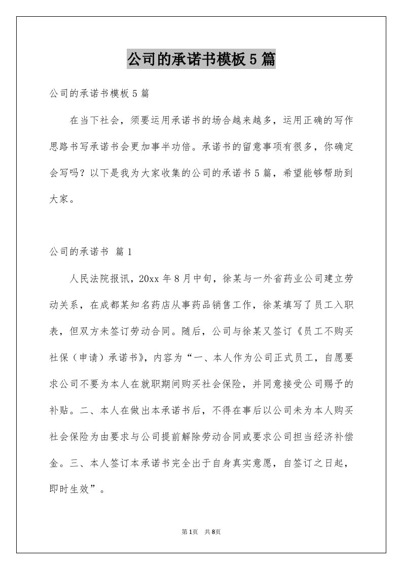 公司的承诺书模板5篇