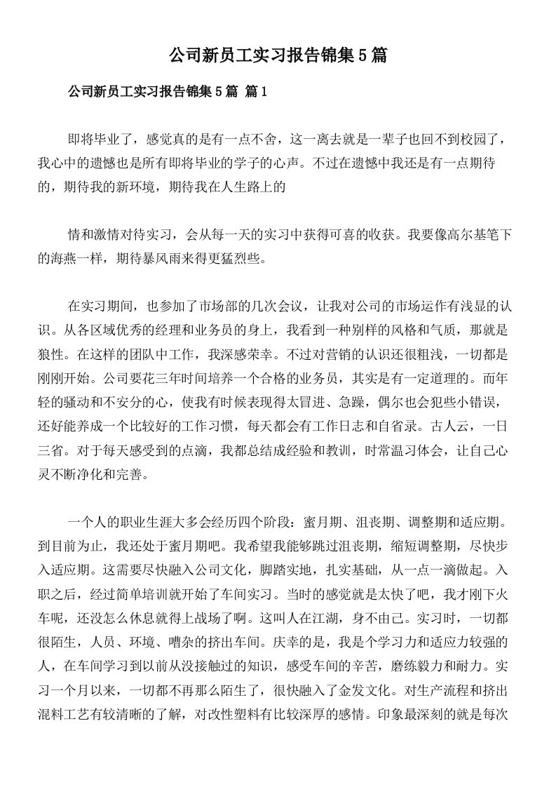 公司新员工实习报告锦集5篇