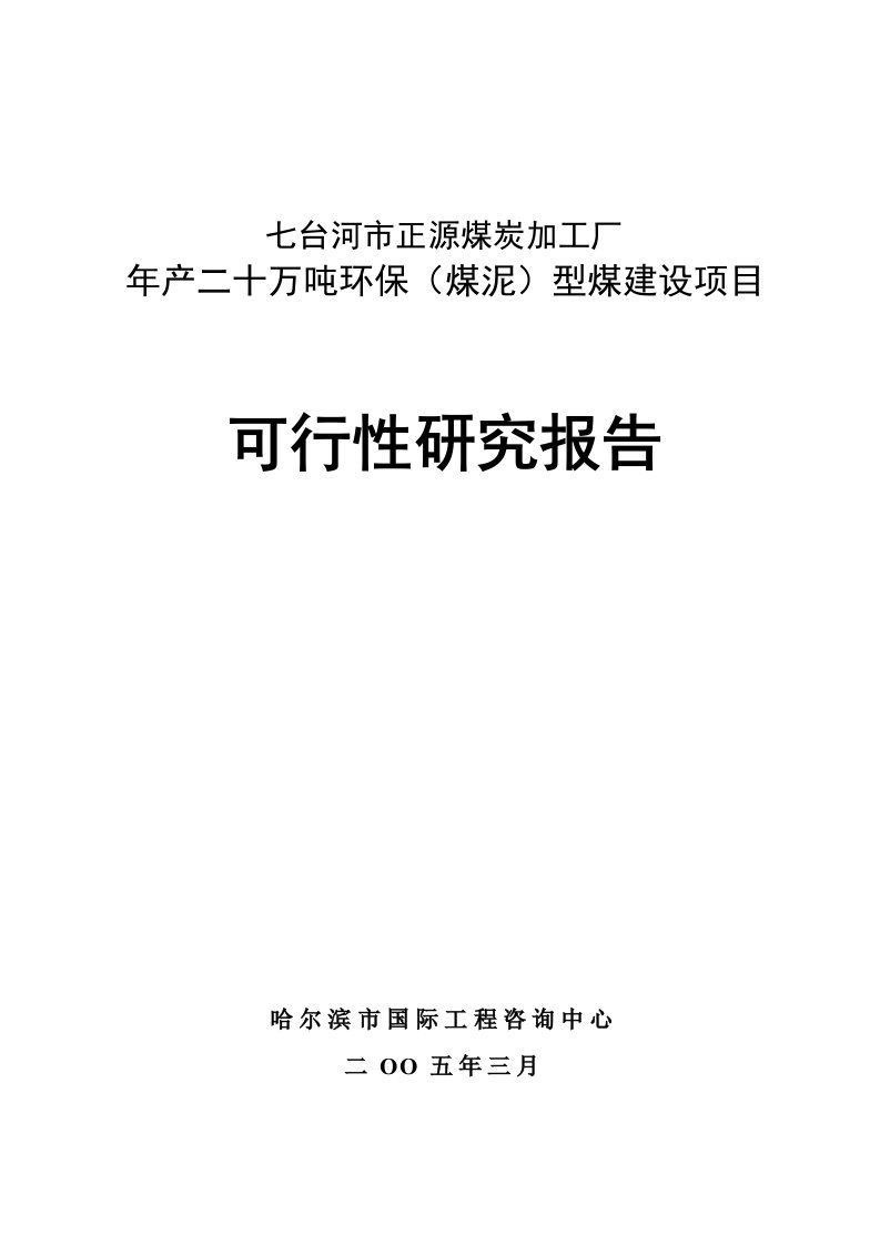 年产二十万吨环保(煤泥)型煤建设项目可行性研究报告