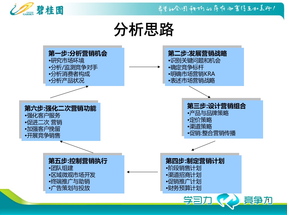 碧桂园策略总纲模板