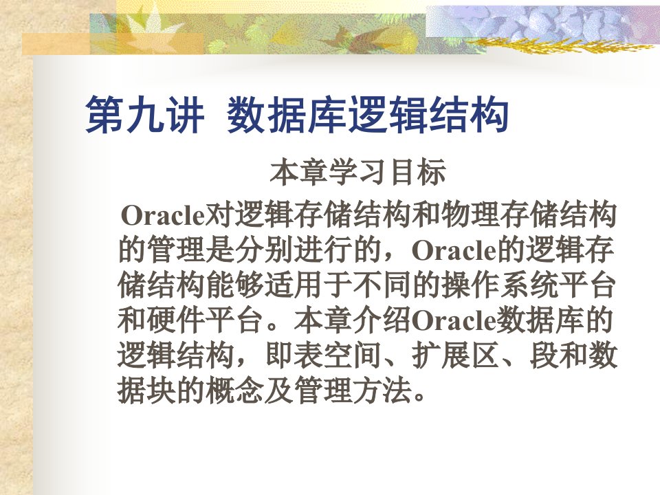 9-Oracle数据库逻辑结构