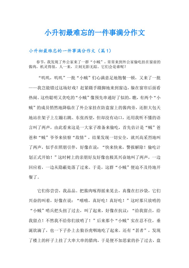 小升初最难忘的一件事满分作文