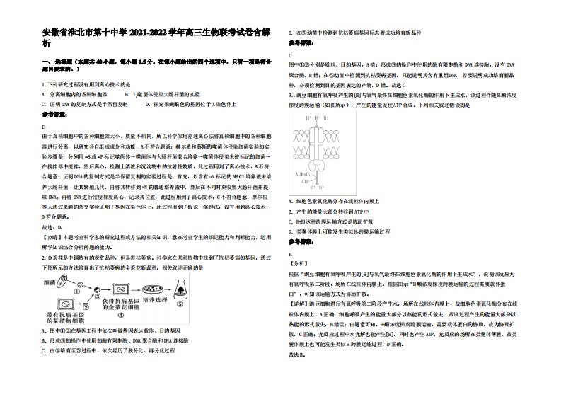 安徽省淮北市第十中学2021-2022学年高三生物联考试卷含解析