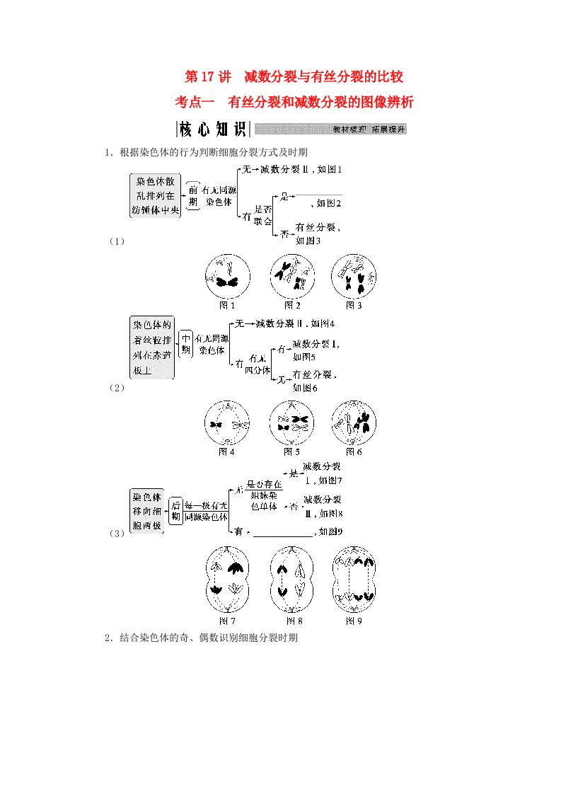 2025届高考生物一轮总复习学生用书必修1第四单元细胞的生命历程第17讲减数分裂与有丝分裂的比较考点一有丝分裂和减数分裂的图像辨析