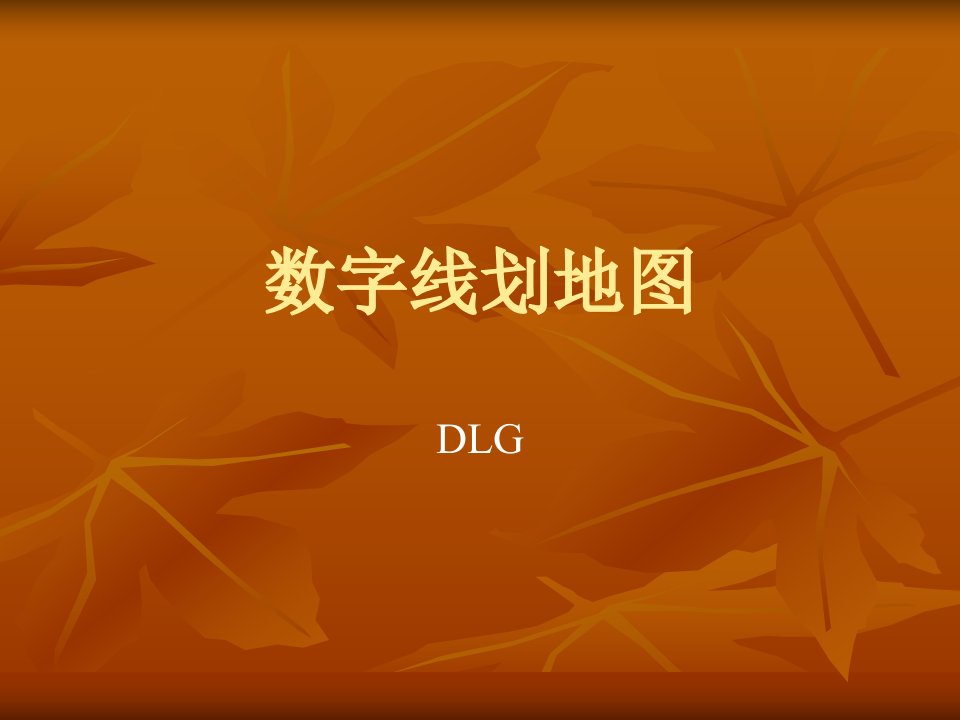 dlg数字线划图ppt