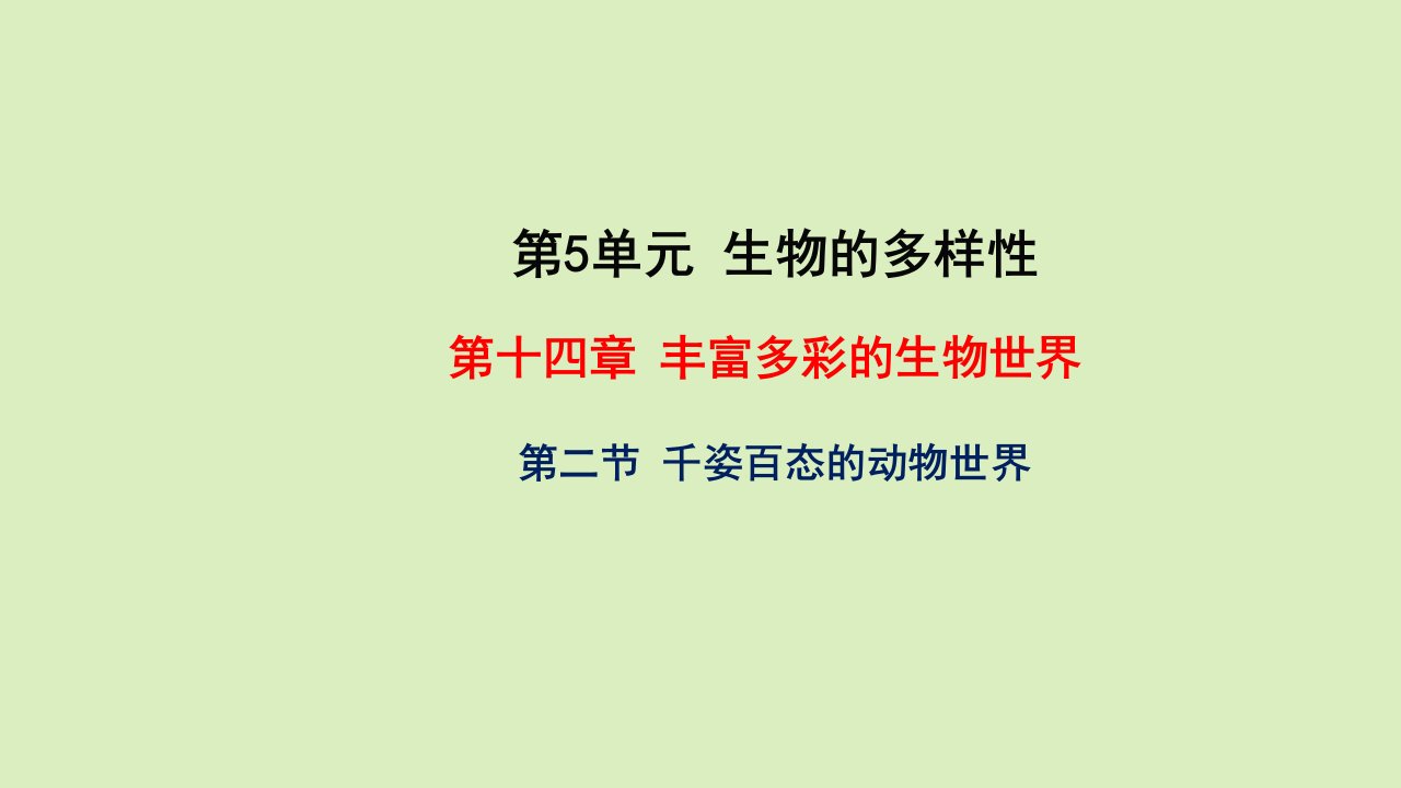 千姿百态的动物世界ppt课件2020年秋苏教版八年级上册生物