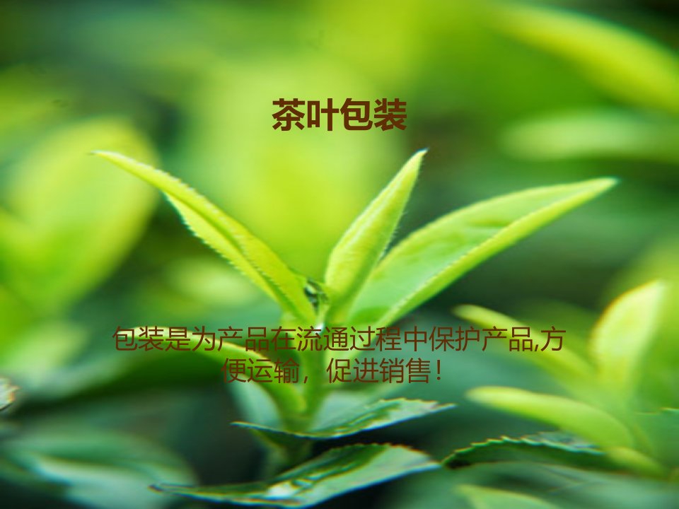 茶叶包装-课件（PPT·精·选）