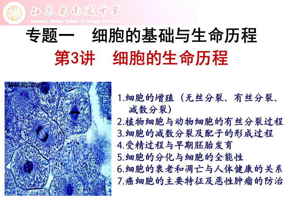 第3讲细胞的生命历程