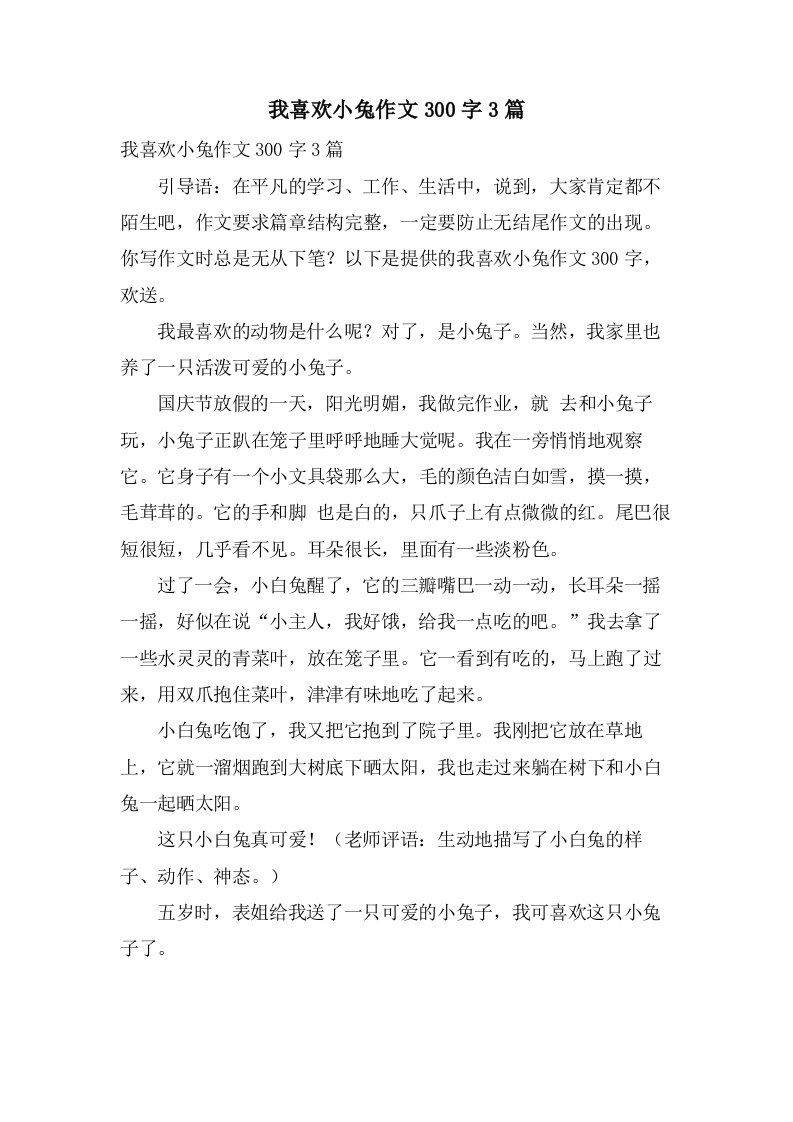 我喜欢小兔作文300字3篇