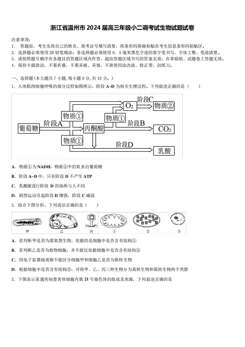 浙江省温州市2024届高三年级小二调考试生物试题试卷含解析