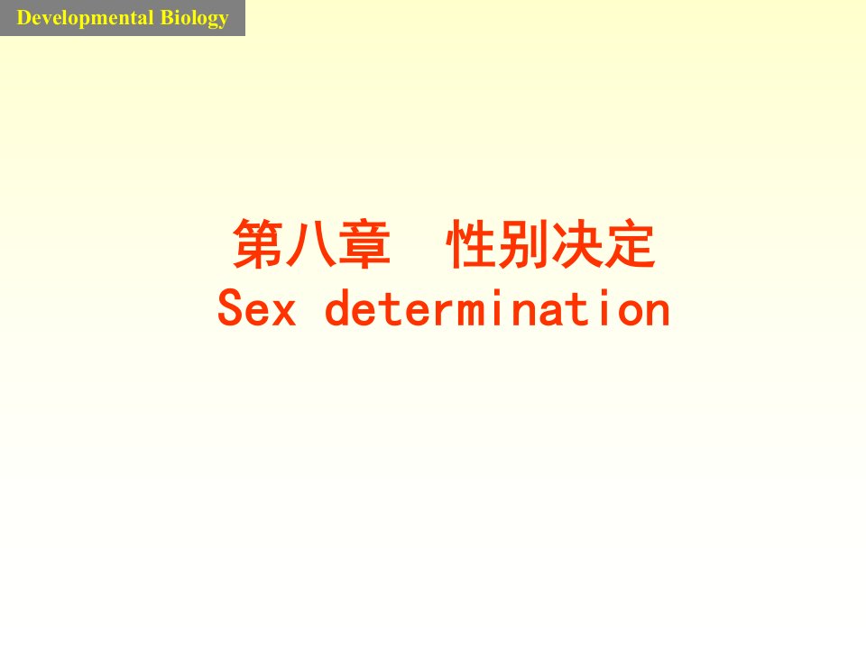 发育生物学课件8sex性别决定