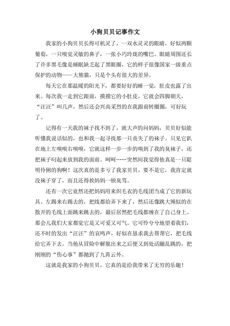 小狗贝贝记事作文