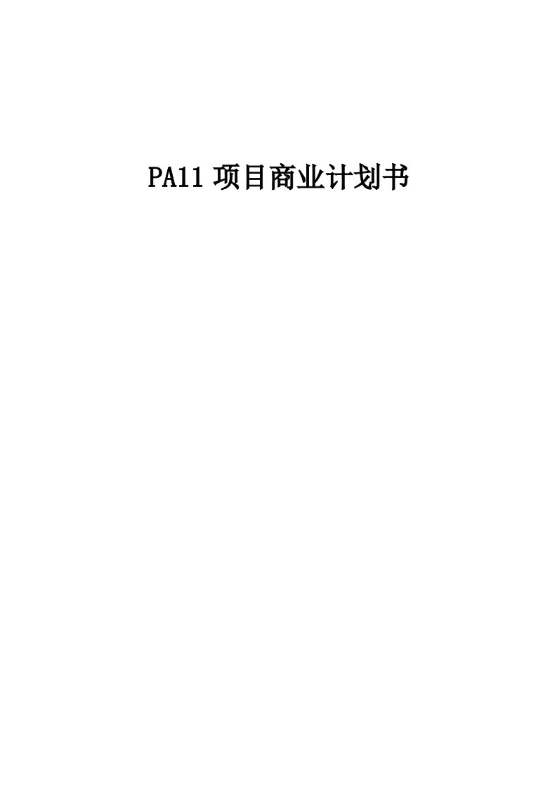 PA11项目商业计划书