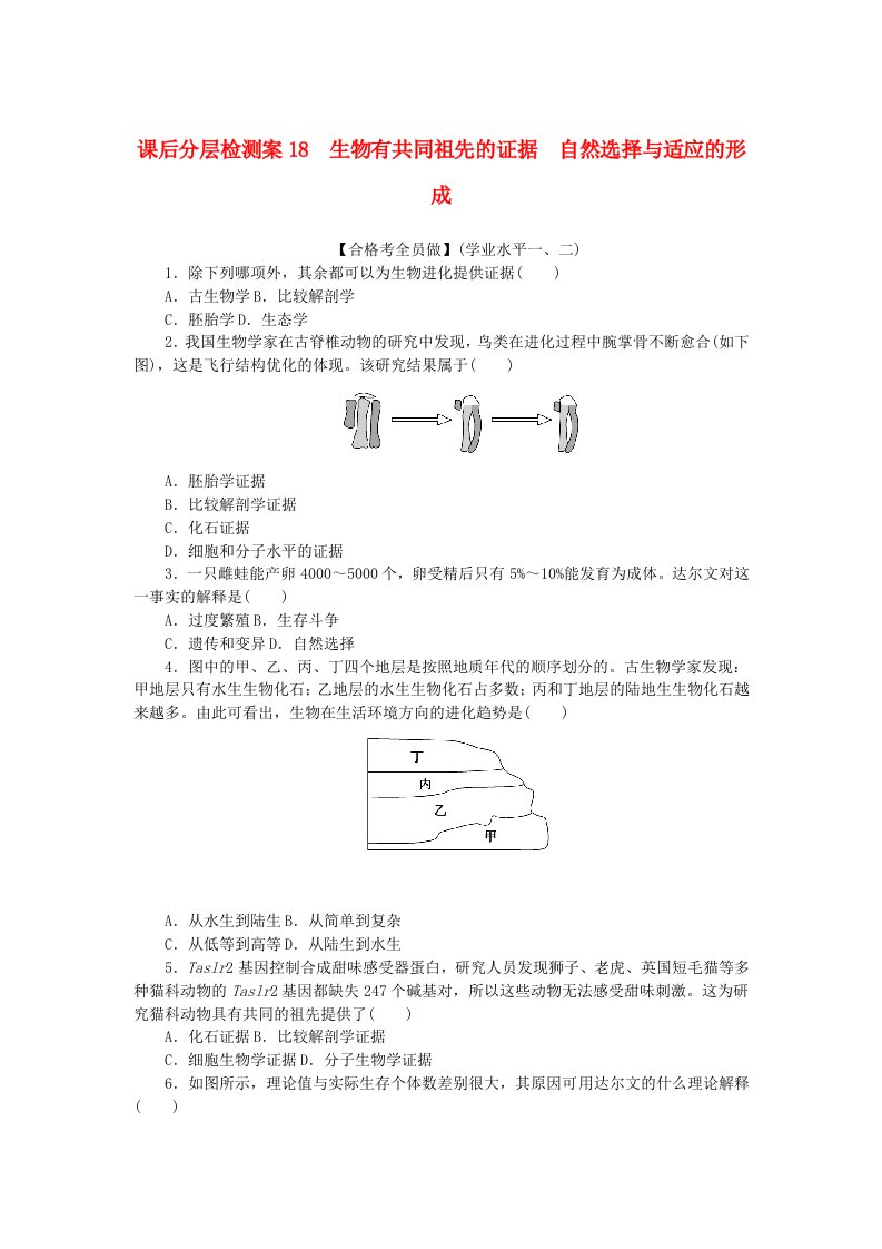 2024版新教材高中生物课后分层检测案18生物有共同祖先的证据自然选择与适应的形成新人教版必修2