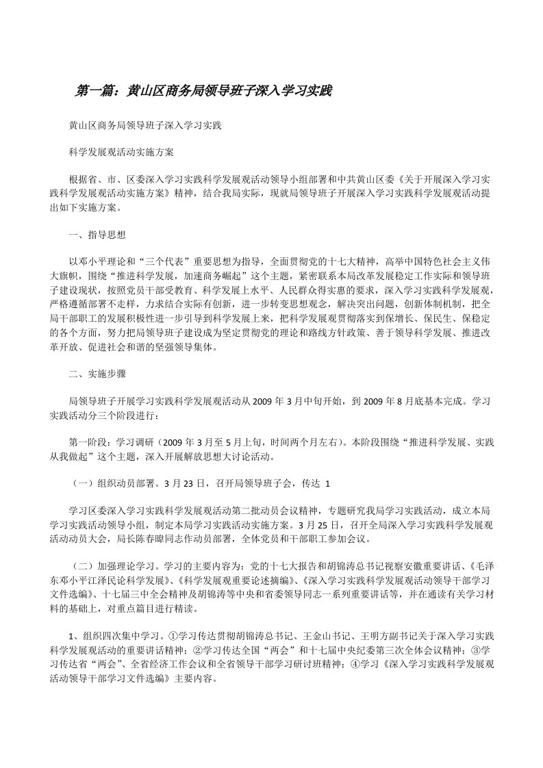 黄山区商务局领导班子深入学习实践5篇范文[修改版]