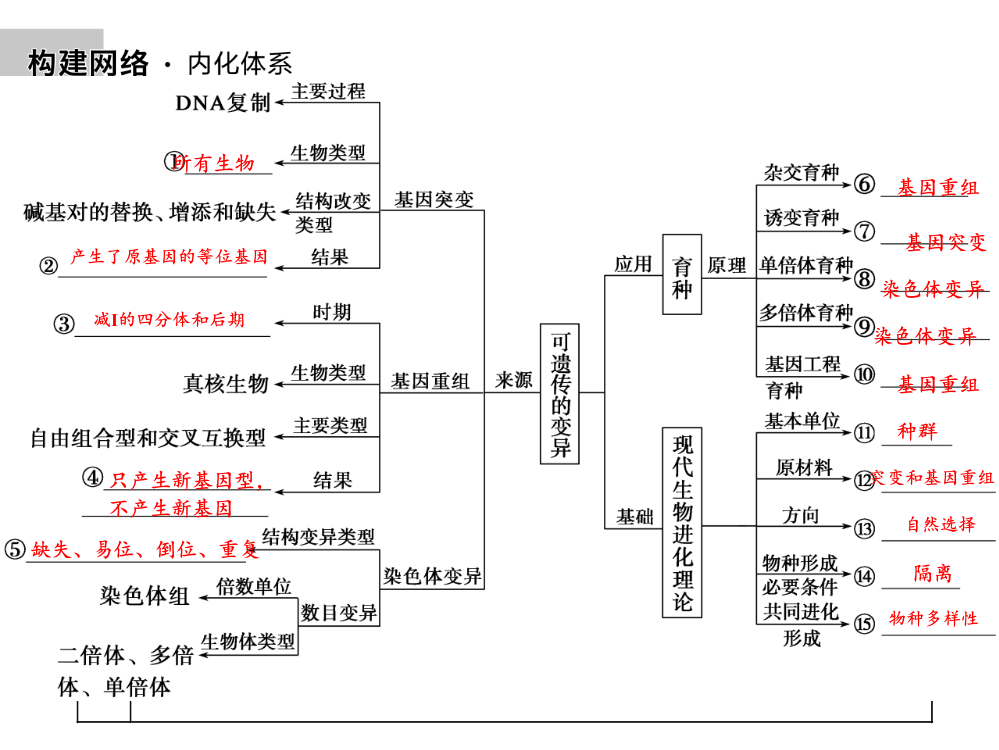 高考生物二轮复习变异育种和进化