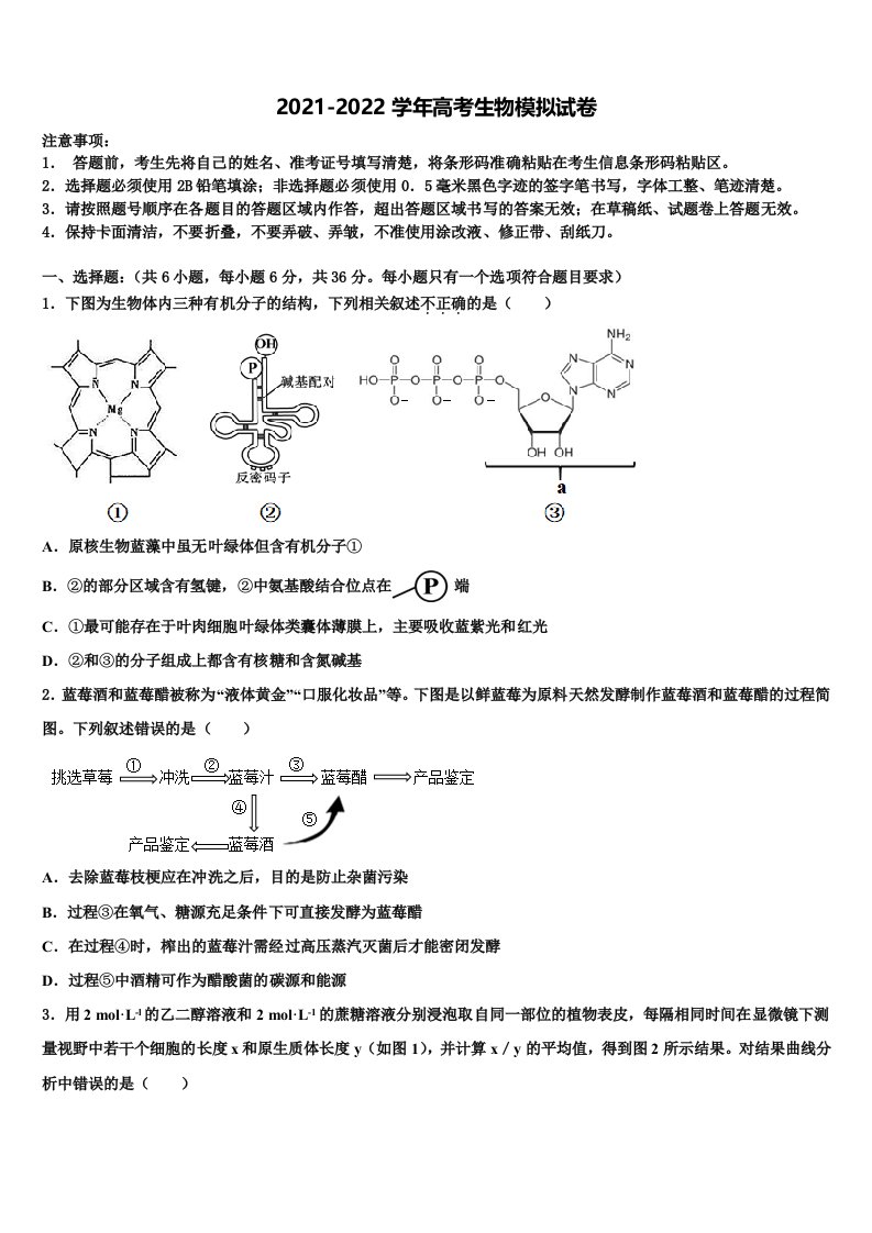 上海市金陵中学2022年高三下学期第五次调研考试生物试题含解析