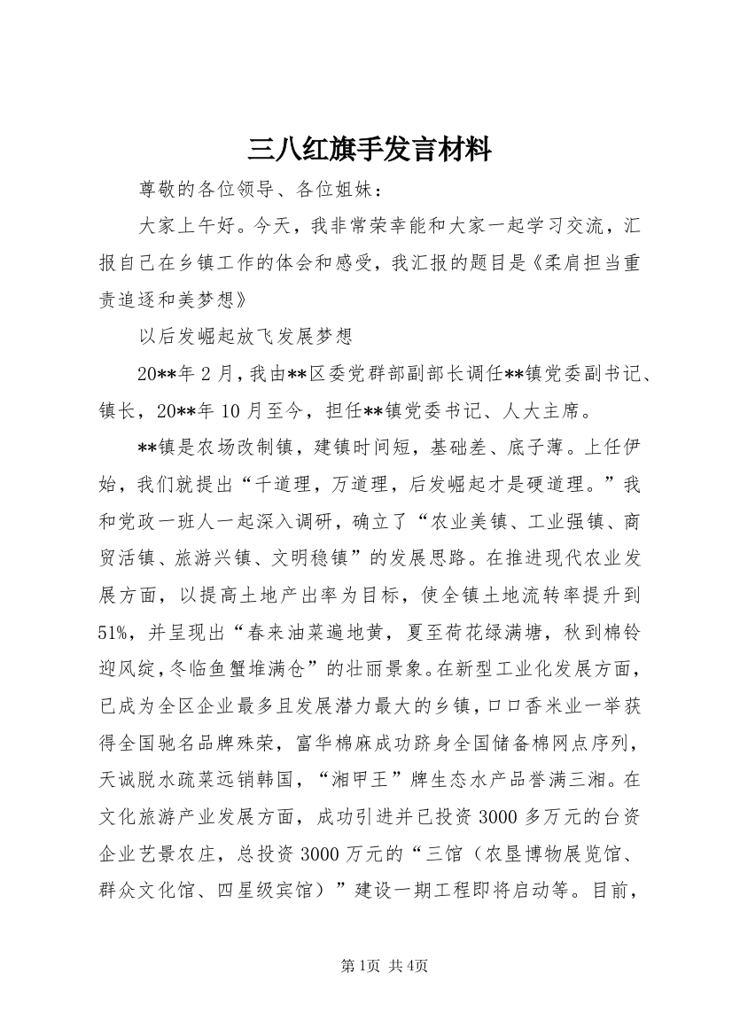 三八红旗手发言材料