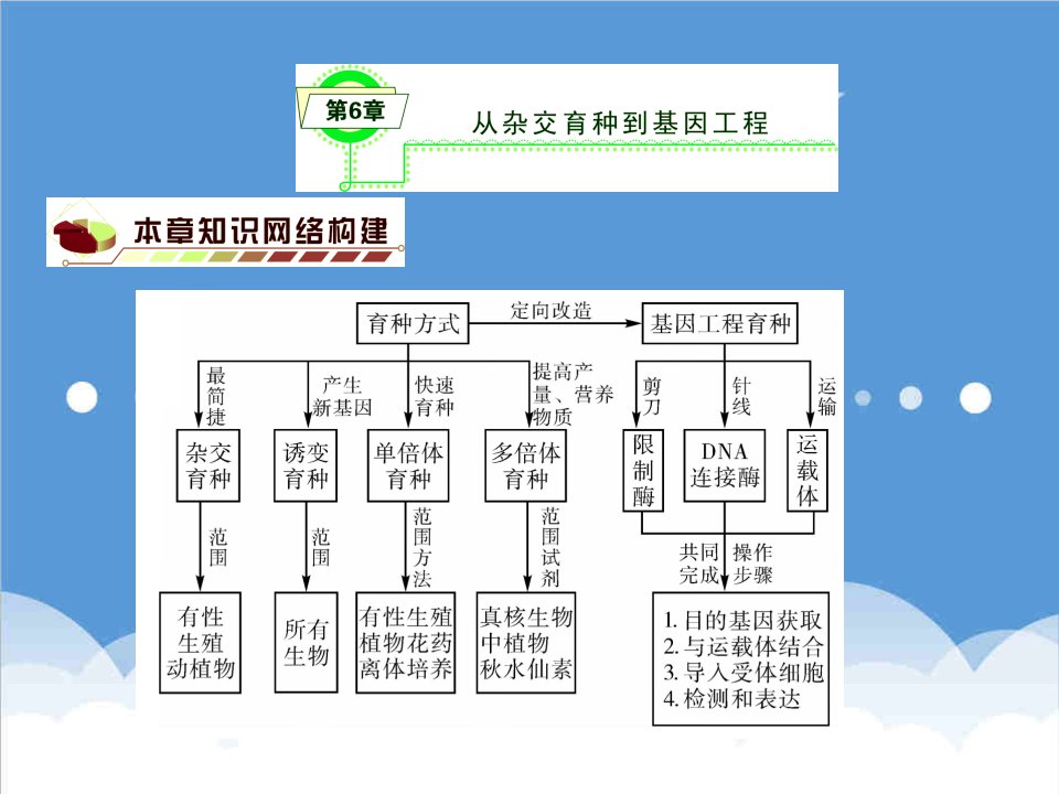 建筑工程管理-第6章从杂交育种到基因工程