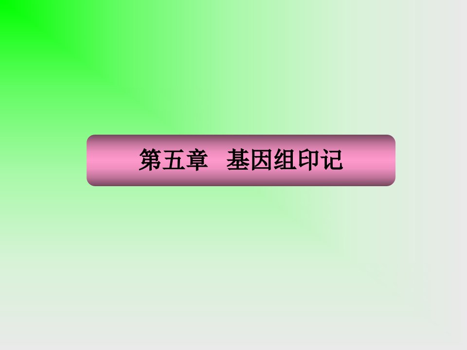 《基因组印记》PPT课件