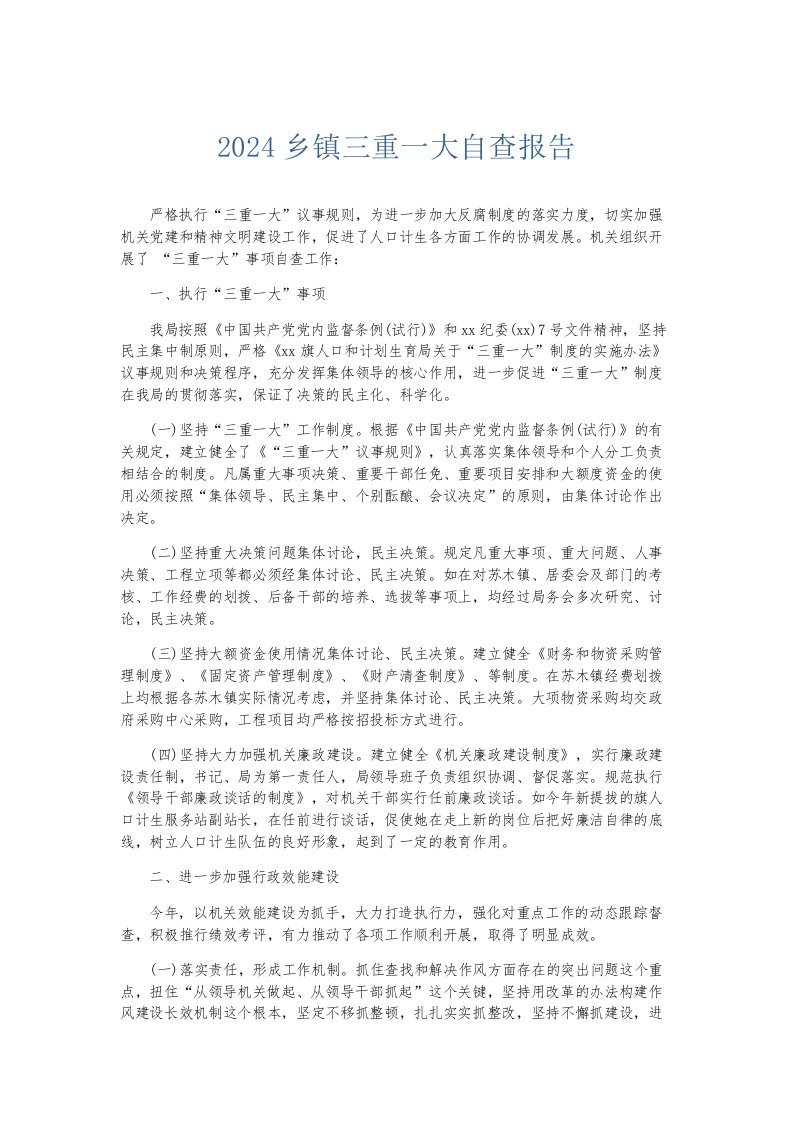 总结报告2024乡镇三重一大自查报告