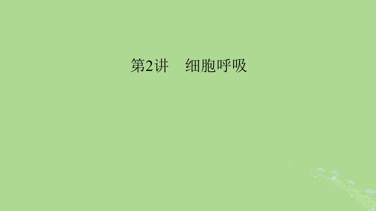 2025版高考生物一轮总复习必修1第3单元细胞的能量供应和利用第2讲细胞呼吸课件