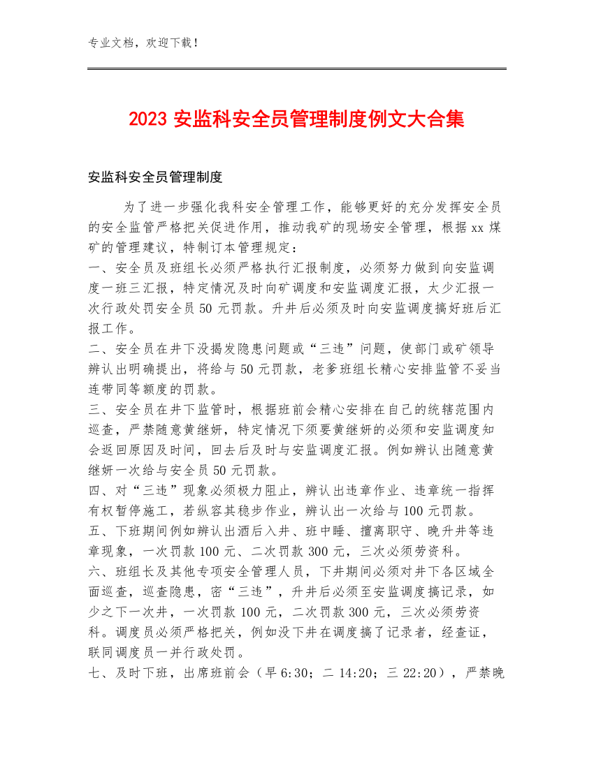 2023安监科安全员管理制度例文大合集