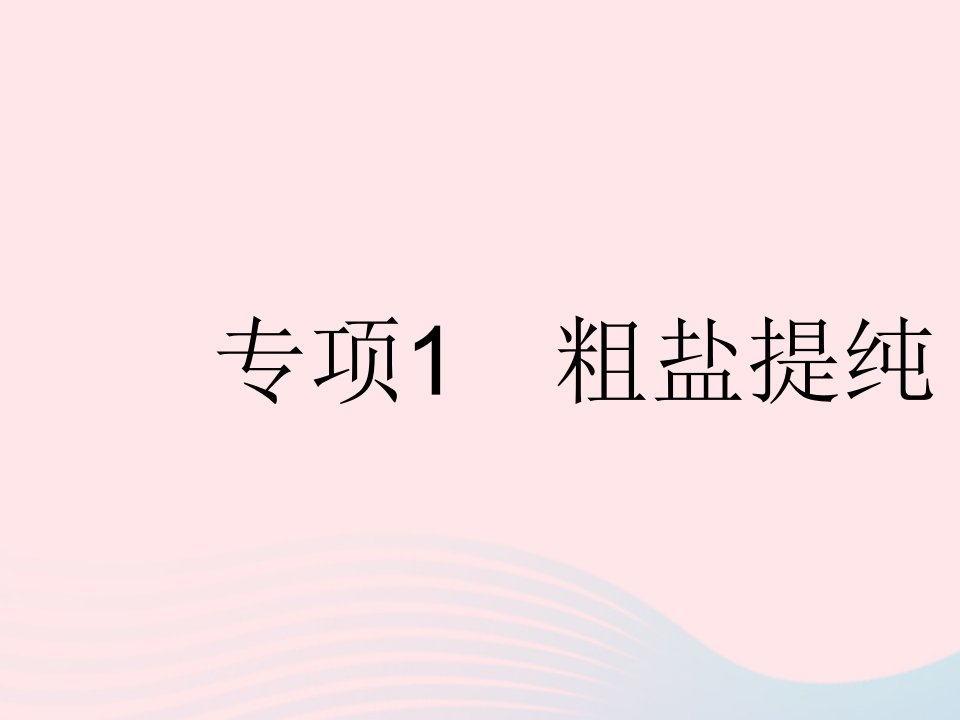 2023九年级化学下册第十一单元盐化肥专项1粗盐提纯作业课件新版新人教版